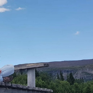 259034 Устинова Елизавета