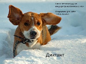 Диктант "Четыре лапы" Диктант "Четыре лапы"