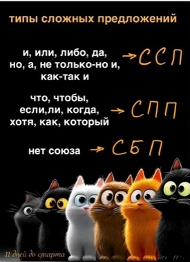 пример карточки огэ.png