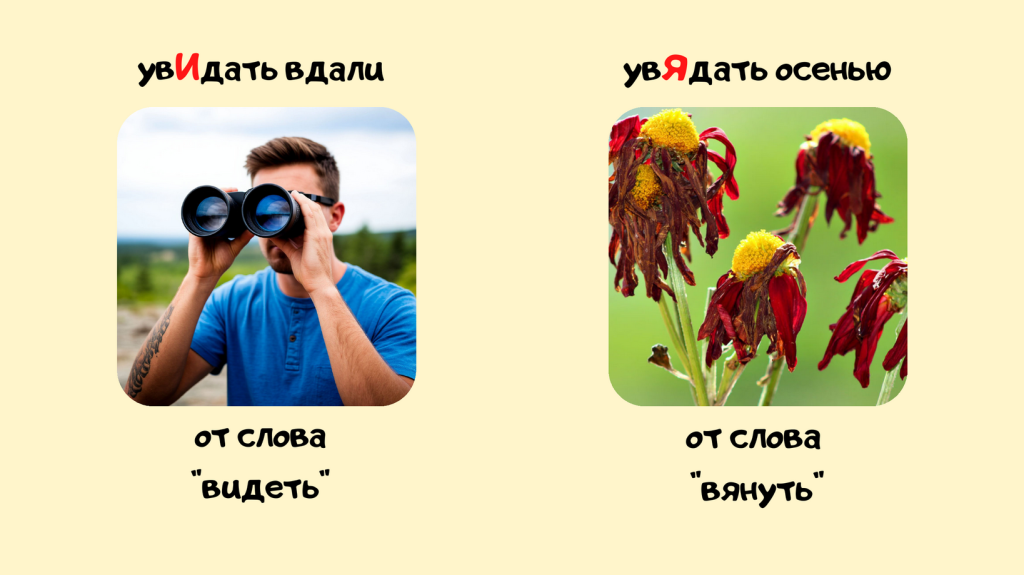 слова-ловушки.png слова-ловушки.png